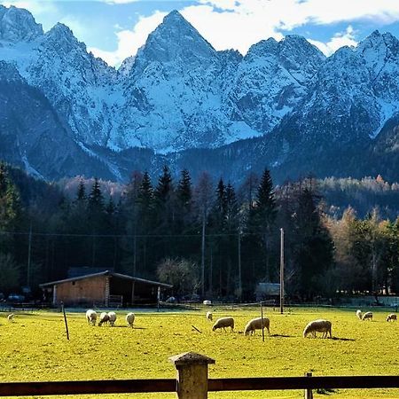Mountain Peaks Apartment With Sauna Gozd Martuljek Dış mekan fotoğraf