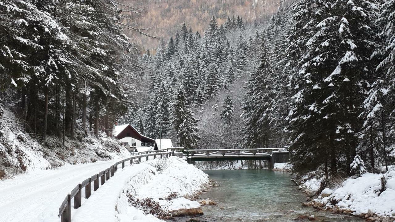 Mountain Peaks Apartment With Sauna Gozd Martuljek Dış mekan fotoğraf